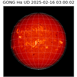gong - 2025-02-16T03:00:02