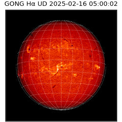gong - 2025-02-16T05:00:02