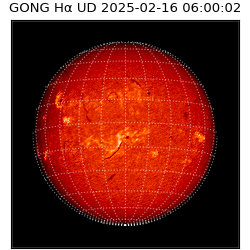 gong - 2025-02-16T06:00:02