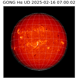 gong - 2025-02-16T07:00:02