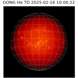 gong - 2025-02-16T10:00:22