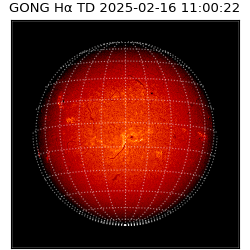 gong - 2025-02-16T11:00:22
