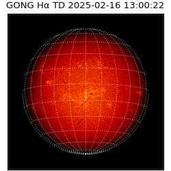 gong - 2025-02-16T13:00:22