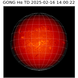 gong - 2025-02-16T14:00:22
