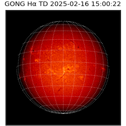 gong - 2025-02-16T15:00:22