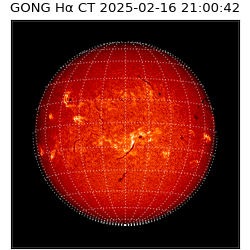 gong - 2025-02-16T21:00:42