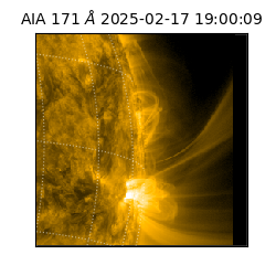 saia - 2025-02-17T19:00:09.351000