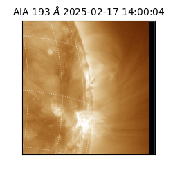 saia - 2025-02-17T14:00:04.843000