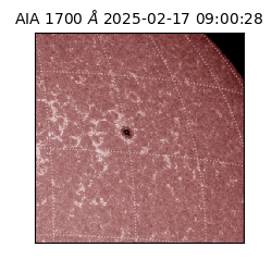 saia - 2025-02-17T09:00:28.721000