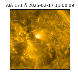 saia - 2025-02-17T11:00:09.350000