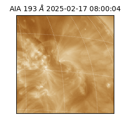 saia - 2025-02-17T08:00:04.843000