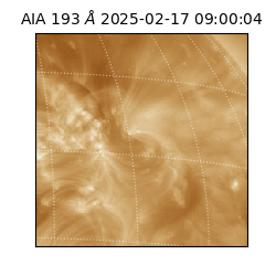 saia - 2025-02-17T09:00:04.835000