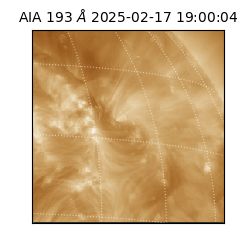 saia - 2025-02-17T19:00:04.843000