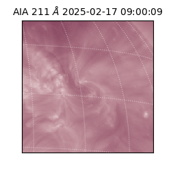 saia - 2025-02-17T09:00:09.618000