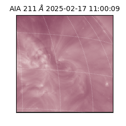 saia - 2025-02-17T11:00:09.630000