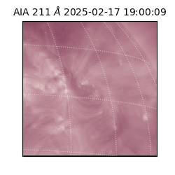 saia - 2025-02-17T19:00:09.633000