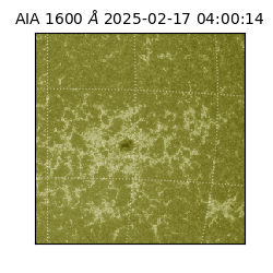 saia - 2025-02-17T04:00:14.126000