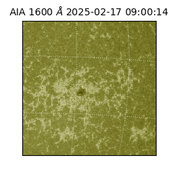 saia - 2025-02-17T09:00:14.121000