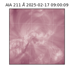 saia - 2025-02-17T09:00:09.618000