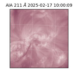 saia - 2025-02-17T10:00:09.626000