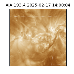 saia - 2025-02-17T14:00:04.843000