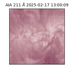 saia - 2025-02-17T13:00:09.630000