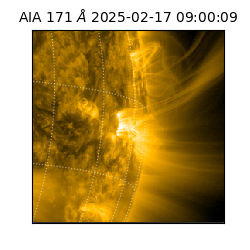 saia - 2025-02-17T09:00:09.343000