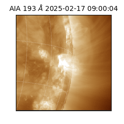 saia - 2025-02-17T09:00:04.835000