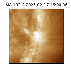 saia - 2025-02-17T16:00:06.572000