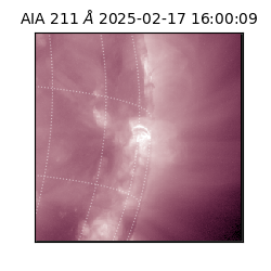 saia - 2025-02-17T16:00:09.638000