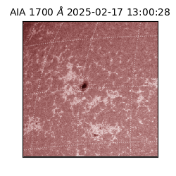 saia - 2025-02-17T13:00:28.717000