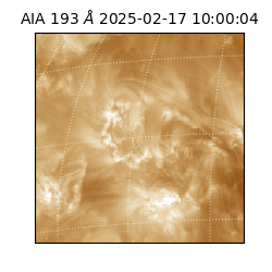 saia - 2025-02-17T10:00:04.843000