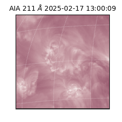 saia - 2025-02-17T13:00:09.630000