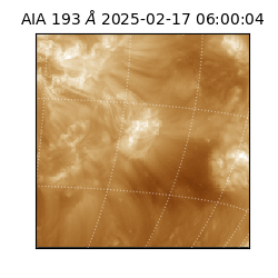 saia - 2025-02-17T06:00:04.843000