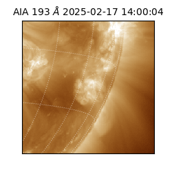 saia - 2025-02-17T14:00:04.843000