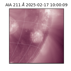 saia - 2025-02-17T10:00:09.626000