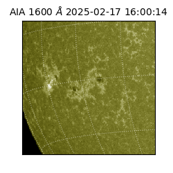 saia - 2025-02-17T16:00:14.126000