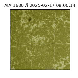 saia - 2025-02-17T08:00:14.126000