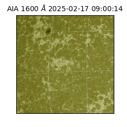 saia - 2025-02-17T09:00:14.121000