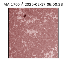 saia - 2025-02-17T06:00:28.720000