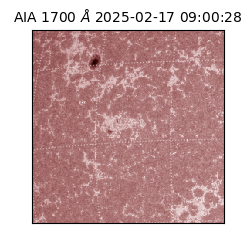 saia - 2025-02-17T09:00:28.721000