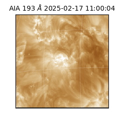 saia - 2025-02-17T11:00:04.843000
