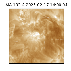 saia - 2025-02-17T14:00:04.843000
