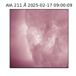 saia - 2025-02-17T09:00:09.618000