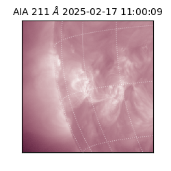 saia - 2025-02-17T11:00:09.630000