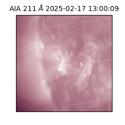 saia - 2025-02-17T13:00:09.630000