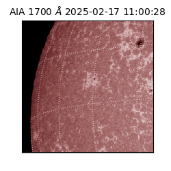 saia - 2025-02-17T11:00:28.717000