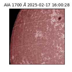 saia - 2025-02-17T16:00:28.720000