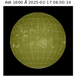 saia - 2025-02-17T06:00:14.126000