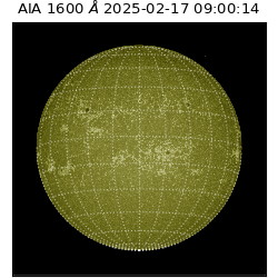 saia - 2025-02-17T09:00:14.121000